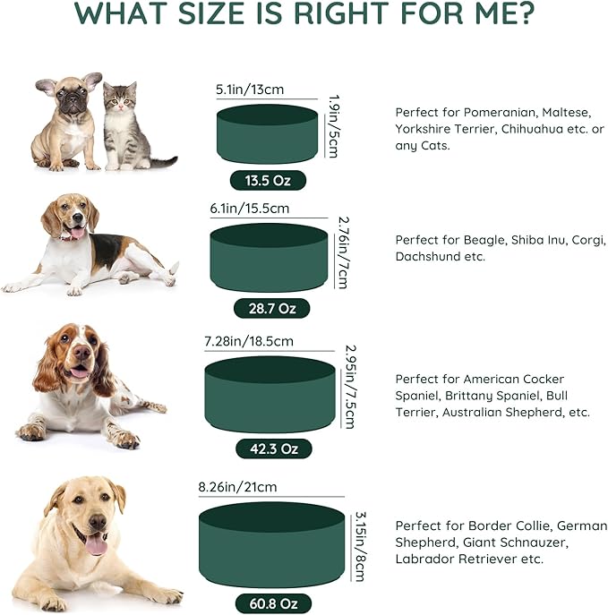 SPUNKYJUNKY 60OZ Ceramic Dog and Cat Bowl, Modern Cute Weighted Food Water Bowl for Replacement Green (2 Pack)