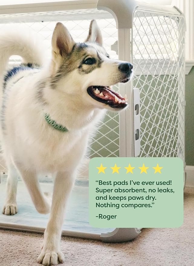 Earth Rated Max Absorbency Puppy Pee Pads for Dogs Absorbs 2X Faster & 2X More, Leak-Proof, Odor Control Potty Training, Unscented, 3XL, 36” x 36”, 24 Count