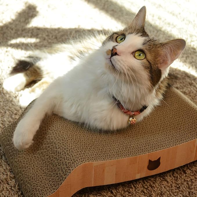 Necoichi Cardboard Cat Scratcher Couch for Indoor Cats - Cat Scratching Board, Horizontal Cat Scratch Pad Lounger with Reversible Usability and Extra Comfort for Lounge, Curved (17" Regular, Oak)