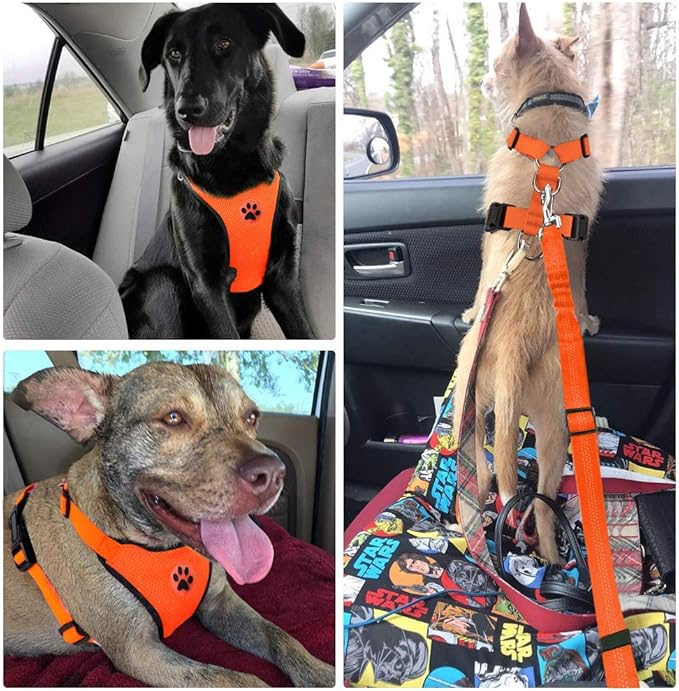 Lukovee Dog Seat Belt for Car, Adjustable Dog Car Harness for Large Medium Small Dogs, Soft Padded & Breathable Mesh Dog Seatbelt with Car Vehicle Connector Strap (Orange Double Clip,Large)