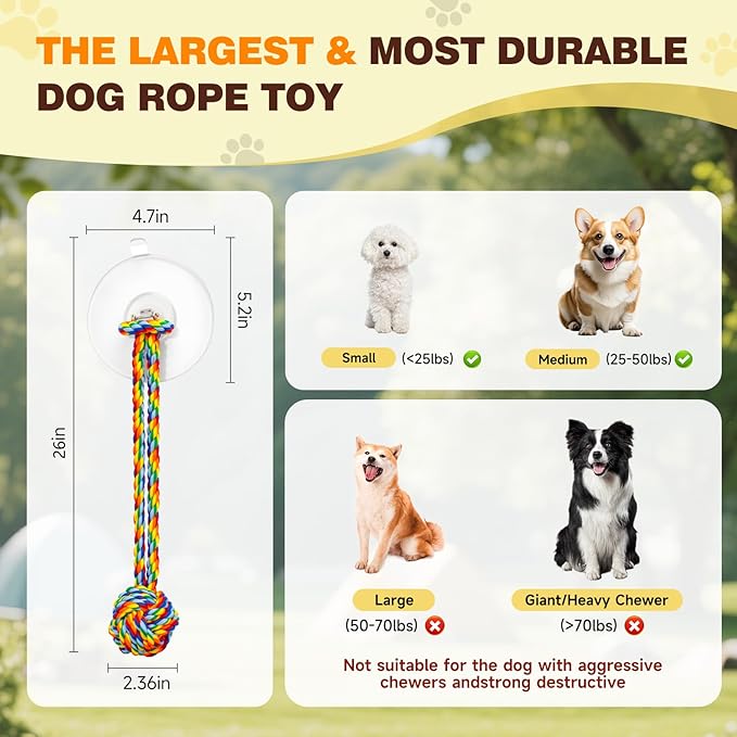 Duocharm Interactive Suction Cup Tug Dog Toy for Small to Medium Dogs,Cotton Tug Rope,Puppy Teething Toy,Indestructible Chew Toy for Aggressive Chewers,Puzzle Enrichment Toy to Keep Dogs Busy