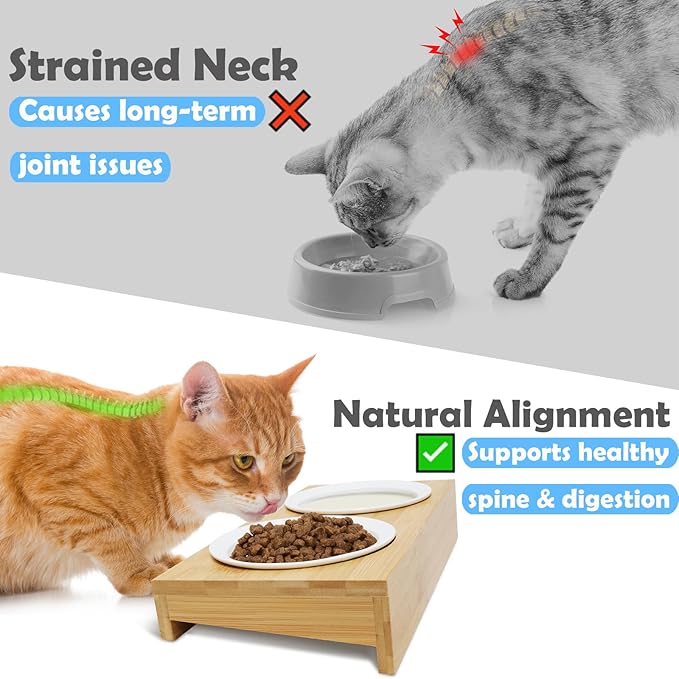 Premium Bamboo Raised Pet Feeder - 15 Degree Elevated Cat & Small Dog Bowls with 2 Ceramic Dishes, Non-Slip Base & 8 Silicone Pads, Eco-Friendly Ergonomic Food Stand for Kittens/Puppies