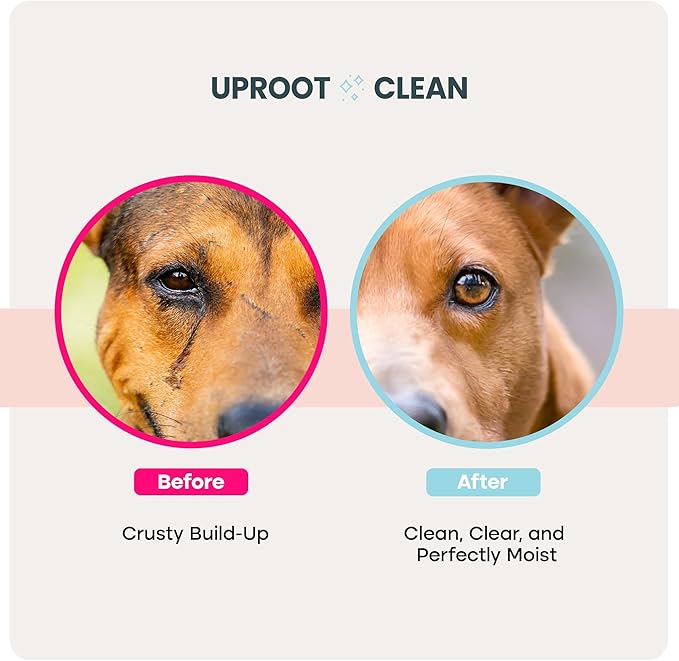 Uproot Clean Cat & Dog Eye Wipes: Hypoallergenic Eye Wipes for Dogs (100ct.) - Gentle & Cleansing Tear Stain Remover for Dogs - Reduce Discharge, Tear Stain Deep Clean Wrinkles Cats