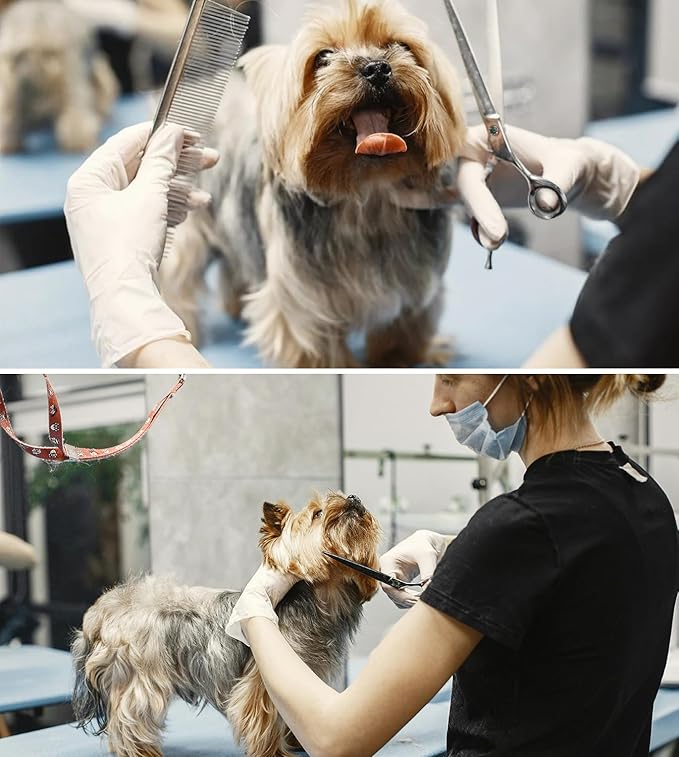 Dog Grooming Straight Scissors 7 inch Professional Pet Shears Made Of Japanese Advanced Stainless Steel Professional Grooming Scissors for Dogs Cats and Other Pets