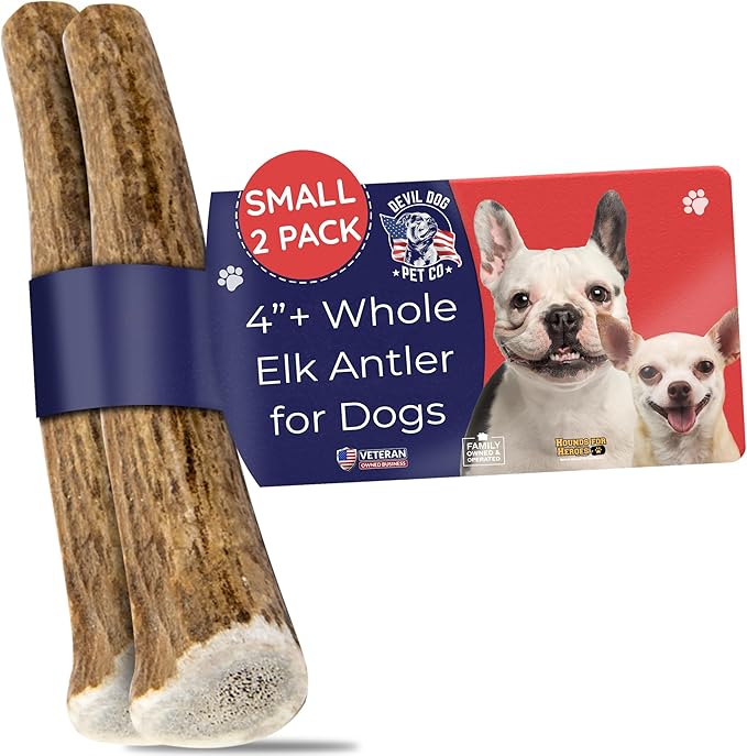 Devil Dog Pet Co. Elk Antlers for Dogs, Small 4"+, 2 Pack, Grade A Long Lasting Chew for Aggressive Chewers, Premium USA Naturally Shed Antler – Healthy, No Odor, Durable Dog Chew