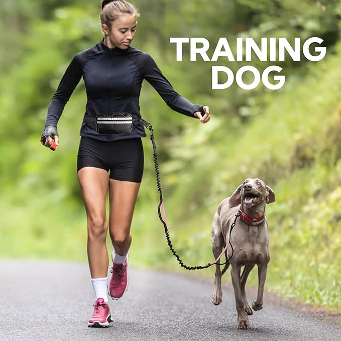 Hands Free Dog Leash, Waist Leash for Dog Walking, Hiking and Running,Adjustable Belt with Double Handle for Large Dogs and Medium Dogs, Dog Walking Accessories,Tangle Free,No Pull