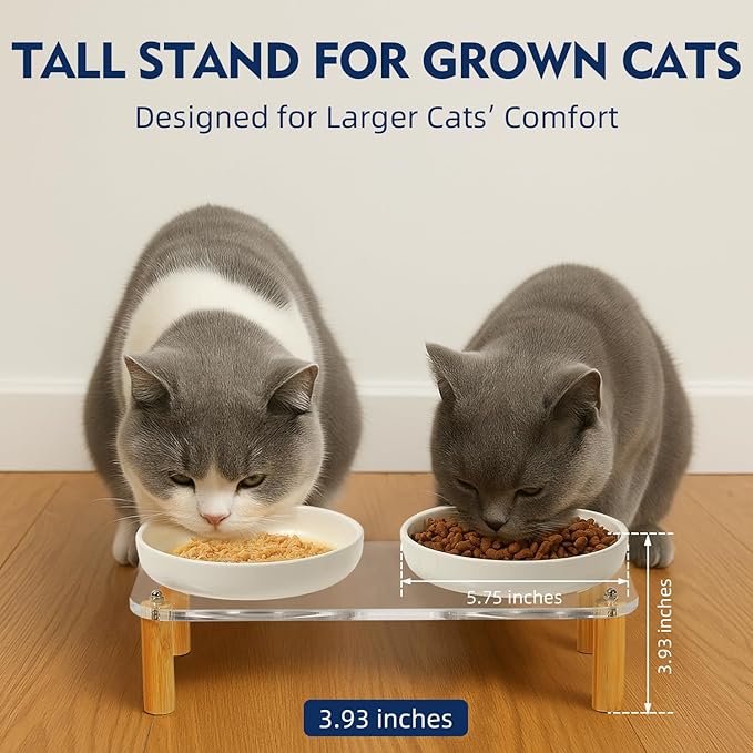Elevated Cat Bowls for Indoor Cats – Modern Acrylic Cat Food Table with 2 Ceramic Dishes, Adjustable Height (4.05"/2.87"), Set of 1