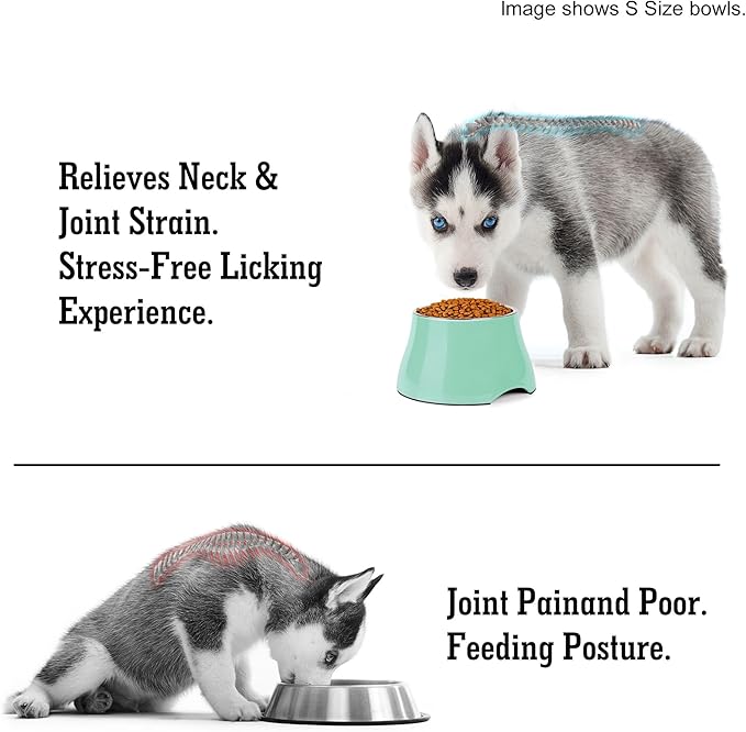 Dog Bowls,Cone Friendly Non-Slip Single Dog Bowl with Stainless Steel Inner, Raised Bowls for Small and Medium Dogs Spaniel Dogs Long Ear, High Capacity, L/3 Cups Mint Green