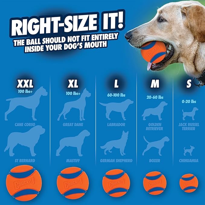 Chuckit! Ultra Ball Dog Toy - Medium Bouncy Fetch Balls for Dogs 20-60 lbs - Made from Durable Rubber - Floating Water Pet Toys - Size Medium - 2.5-inch Diameter - Pack of 6