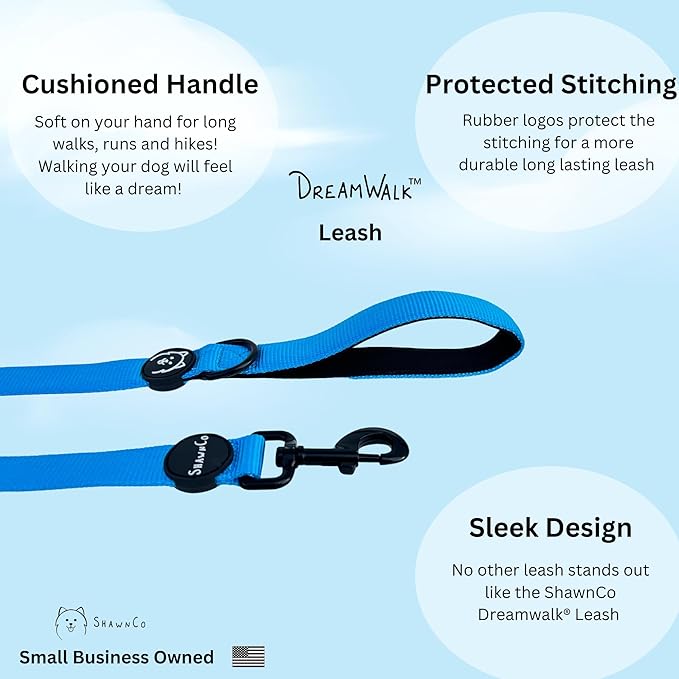 ShawnCo Dream Walk Dog Leash- Premium, Nylon Pet Leash with Soft Neoprene Handle for Small, Medium and Large Dogs (Sunset Orange, Small)