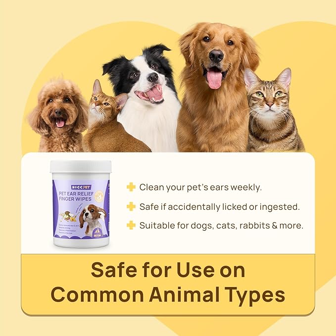 HICC PET Ear Cleaner Wipes for Dogs & Cats, Vet-Recommended Dog Ear Infection Treatment to Relief Itching & Inflammation, Remove Wax, Dirt & Stop Smelly, Cleaning Deodorizing Wipes 50ct(Honey Scent)
