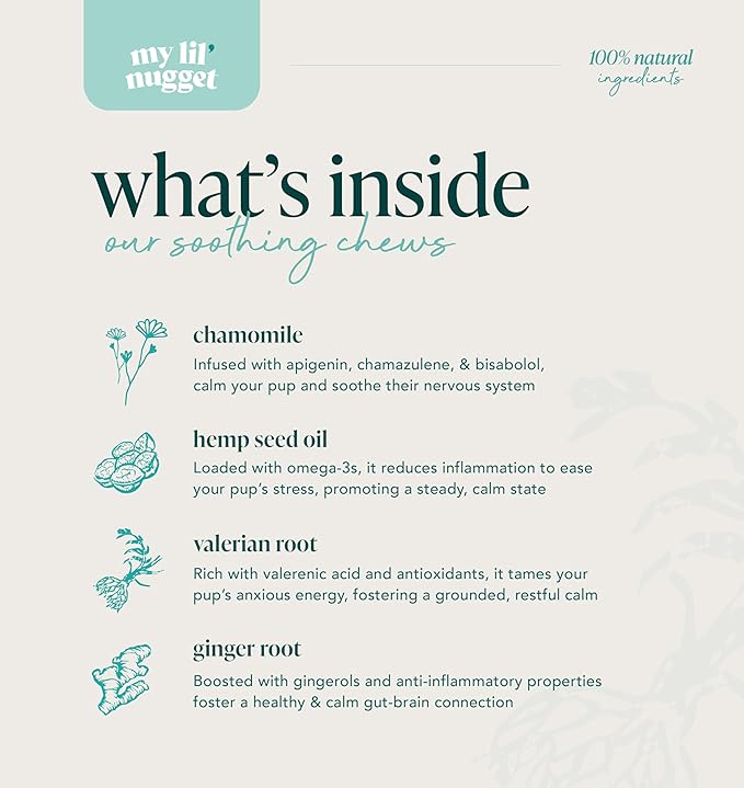 My Lil' Nugget – Vet-Approved Calming Chews for Dogs | All-Natural Calm Treat for Noise, Travel & Home Alone | Hemp, Chamomile & Melatonin | All-Ages - Senior Dog to Puppy | 90 Beef‑Flavor Soft Chews