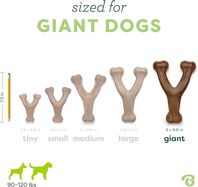 Benebone Wishbone Dog Chew Toy for Aggressive Chewers | Real Bacon Flavor | Made in USA | Giant Size | Pack of 2