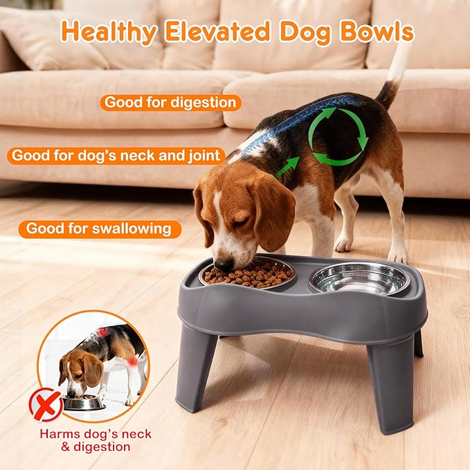 Petizer Small Sized Elevated Dog Bowls, No Spill Pet Feeder, Raised Bowl Stand with 2 Thick 35OZ Stainless Steel Food and Water Bowl Set, Grey (for Small/Medium Dogs)