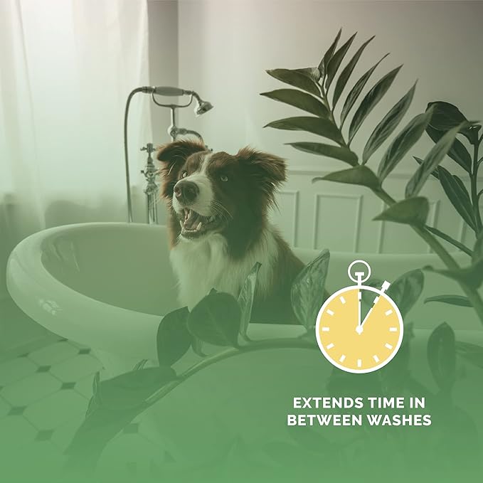 Bark2Basics Salon Scents Pet Grooming Cologne - 8 oz, Natural Professional Groomer Perfume for Dogs and Cats, Long Lasting, Deodorizing, Conditioning (Passion Fruit)