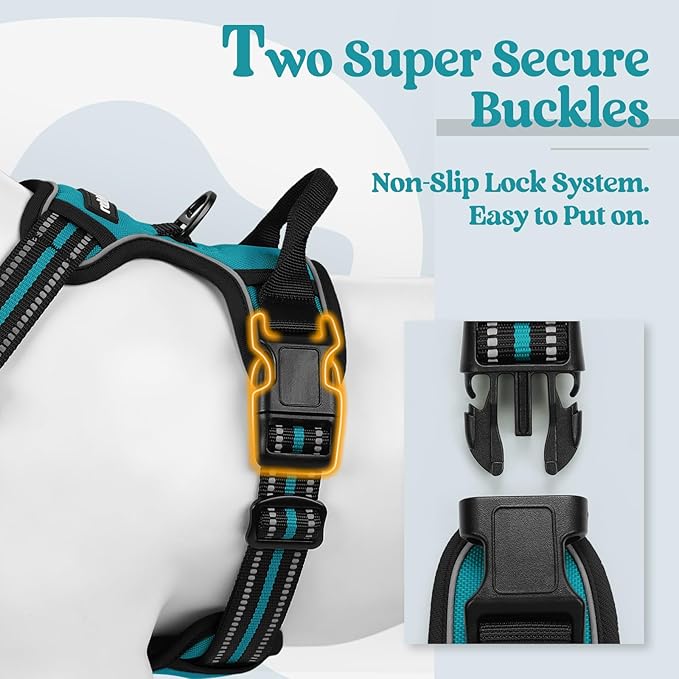 rabbitgoo Dog Harness No Pull with 2 Leash Clips, Adjustable Soft Padded, Reflective Oxford No Choke Pet Vest with Easy Control Handle for Medium Sized Dogs, Teal, M
