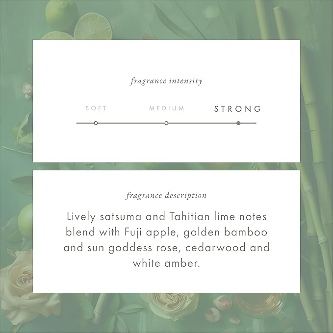 ScentAir Whisper Home Monthly Plug-in Refill, Fragrance Cartridge for Home and Office, Golden Bamboo