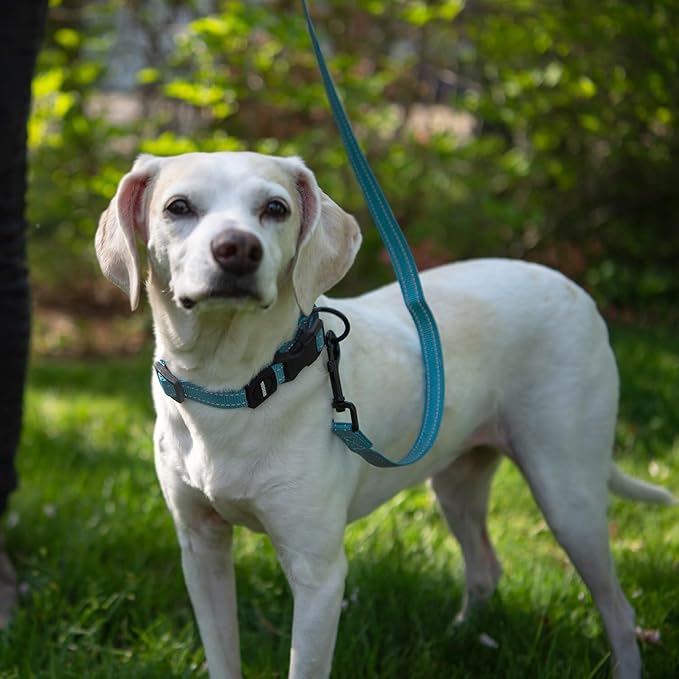Best Pet Supplies Voyager Reflective Dog Leash or Collar with Neoprene Handle, for Small, Medium, and Large Breed Puppies, Cute and Heavy Duty for Walking, Running and Training - Baby Blue (Leash), M