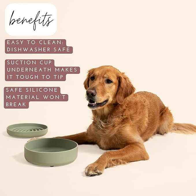 Should We Go? Dog Water Bowl - The Perfect Dish No-Spill, Less Mess Non-Tippable Water & Food Bowl, Pure Silicone with Suction Cup Fits 5 Cups 7.5" Across x 2.25" Tall Ideal for All Pets, Medium-Ocean