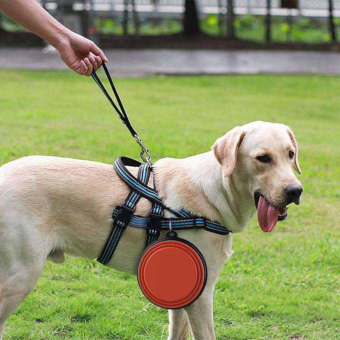3 Pack Collapsible Dog Bowl Travel Portable Pet Bowls [34oz,1000ml],Expandable Foldable Food Water Feeding Dishes for Traveling Hiking Walking,with Carabiners [Red,Orange,Yellow]