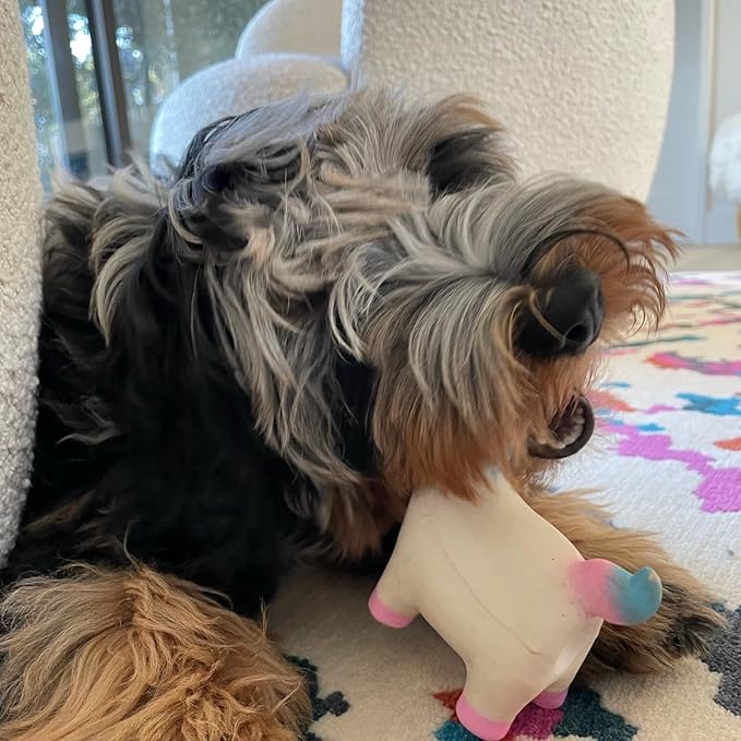 rocket & rex Dog Chew Toy Set for Small to Medium Breeds, Includes a Stuffing Free Rope, Rubber Squeaker and Plush Toy, Reduces Destructive Chewing & Anxiety (Pack of 3)