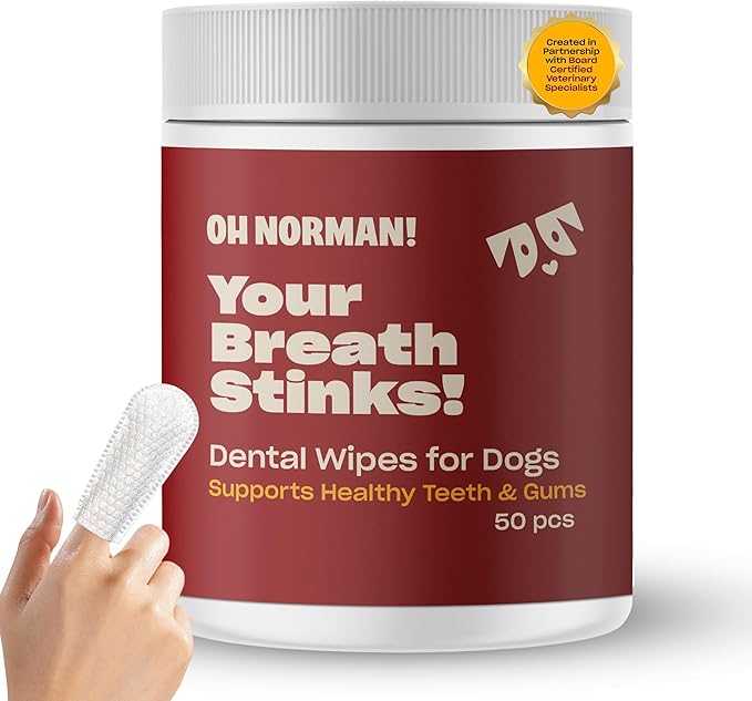 OH NORMAN! Dog Dental Wipes - Vet-Approved Pet Dental Finger Wipes for Oral Hygiene & Fresh Breath - Alternative to Finger Toothbrush for Dogs - No Fuss Dog Cleaning Supplies for Daily Use - 50 pcs