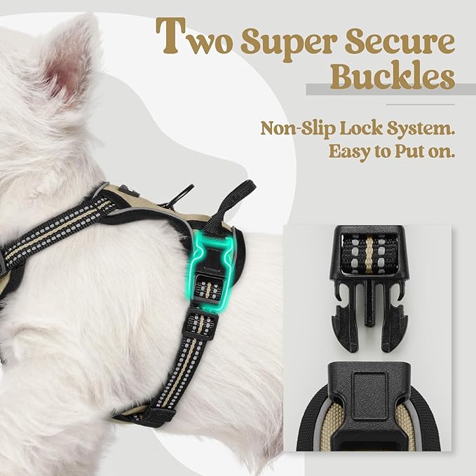 rabbitgoo Dog Harness No Pull with 2 Leash Clips, Adjustable Soft Padded, Reflective Oxford No Choke Pet Vest with Easy Control Handle for Puppy, Beige, XS