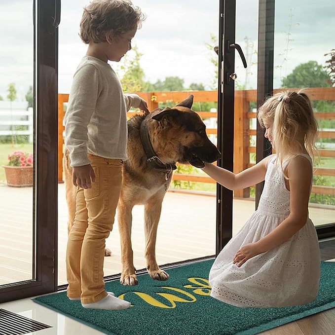 T.HENV Welcome Mat Outdoor, 2' x 3' (Rectangular), Green-Gold, Waterproof, Quick Drying, Low Profile, Heavy Duty, Non Slip, Fade Resistant, Custom Design, Front Door, Outdoor, Entryway, Patio, Porch