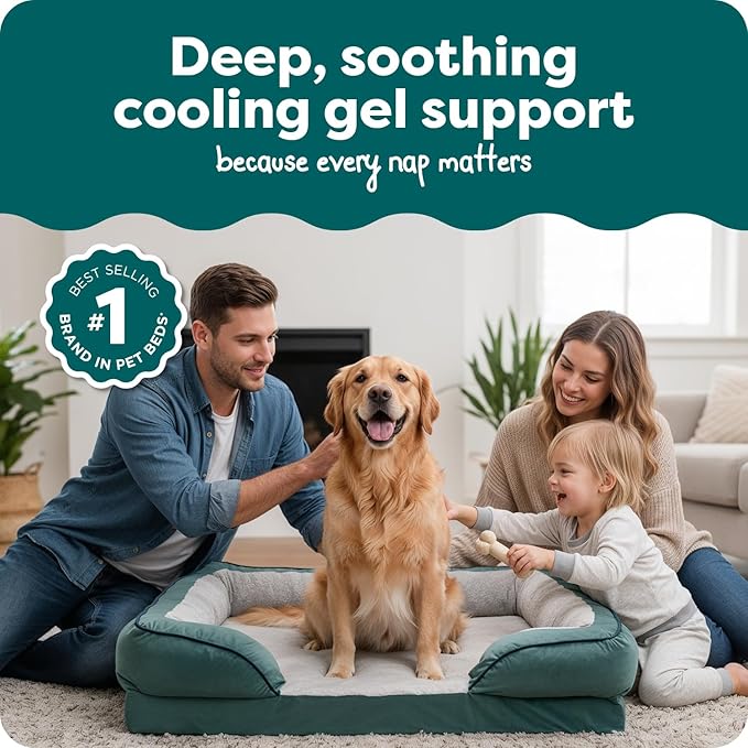 Furhaven Cooling Gel Dog Bed for Large Dogs w/ Removable Bolsters & Washable Cover, For Dogs Up to 95 lbs - Plush & Velvet Waves Perfect Comfort Sofa - Celadon Green, Jumbo/XL, 40.0" x 32.0"x 9.5"