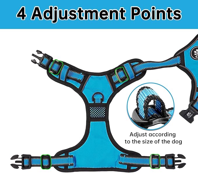 NESTROAD No Pull Dog Vest Harness with Leash, Adjustable Reflective Oxford Pet Harness with Easy Control Handle for Small Dogs, Blue