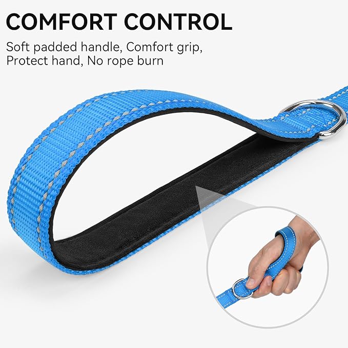 Joytale Dog Leash, 5 FT Double-Sided Reflective, Padded Handle Nylon Heavy Duty Leashes for Small Dogs Walking, Sky Blue