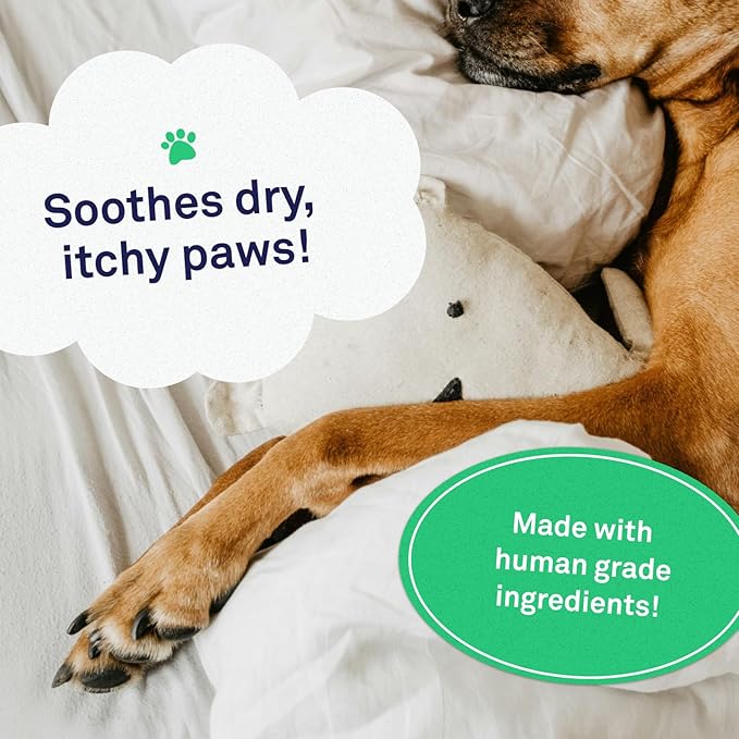 Petpost | Paw Balm for Dogs - Nourishing Cream Soothes Itchy, Dry Dog Paws with Moisturizing Ingredients - Organic Coconut Oil, Jojoba Oil, and Shea Butter 0.64 oz.