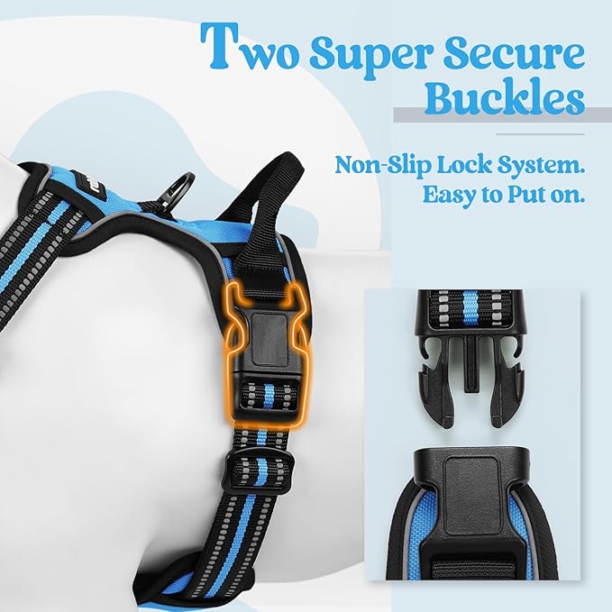 rabbitgoo Dog Harness No Pull with 2 Leash Clips, Adjustable Soft Padded, Reflective Oxford No Choke Pet Vest with Easy Control Handle for Large Dogs, Blue, L