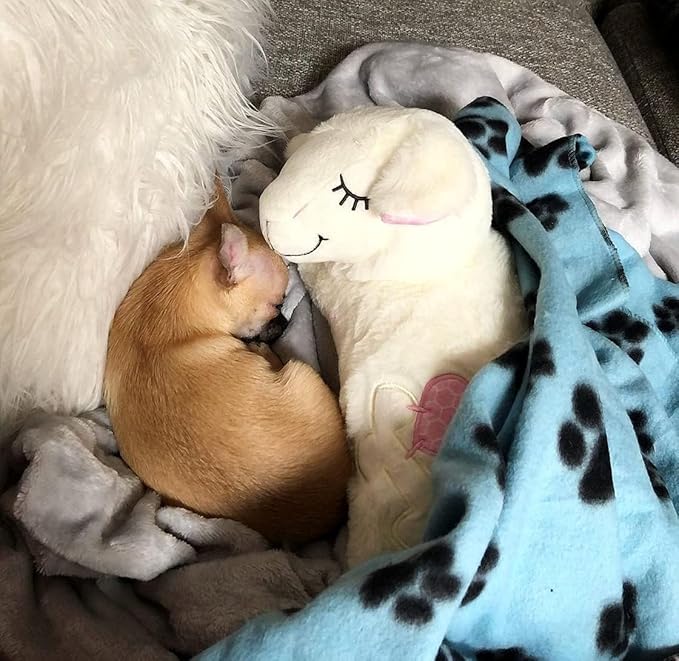 ALL FOR PAWS Puppy Heartbeat Stuffed Animal Toy, Dog Anxiety Toys Soothing Dog Crate Snuggle Sleep Aid Plush Comfort Toys