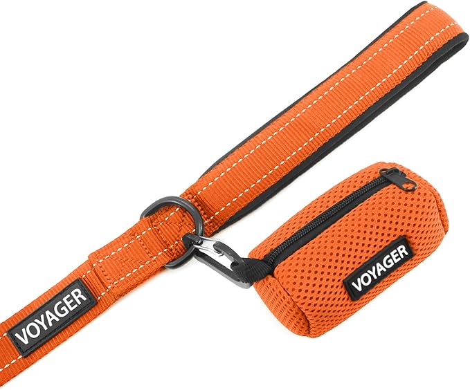 Best Pet Supplies Voyager Reflective Dog Leash or Collar with Neoprene Handle, for Small, Medium, and Large Breed Puppies, Cute and Heavy Duty for Walking, Running and Training - Orange (Leash), M