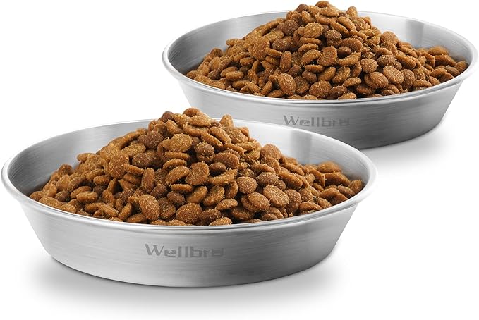 Wellbro Cat Food Bowls, 2 Pcs Stainless Steel Cat Food and Water Bowls, Whisker Fatigue Shallow Cat Dishes, Small Dog Puppies Fat Faced Cat Kitten Supplies