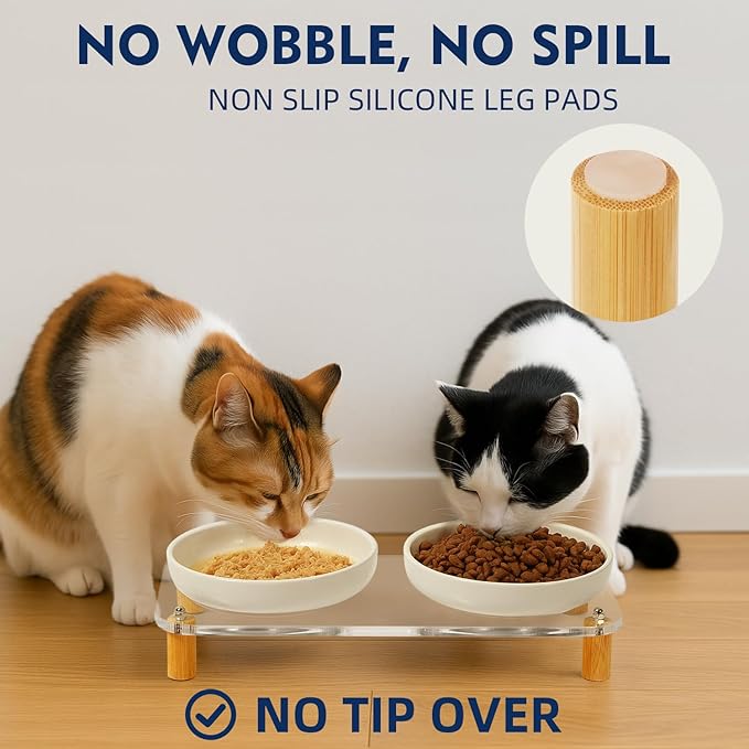 Elevated Cat Bowls for Indoor Cats – Modern Acrylic Cat Food Table with 2 Ceramic Dishes, Adjustable Height (4.05"/2.87"), Set of 1