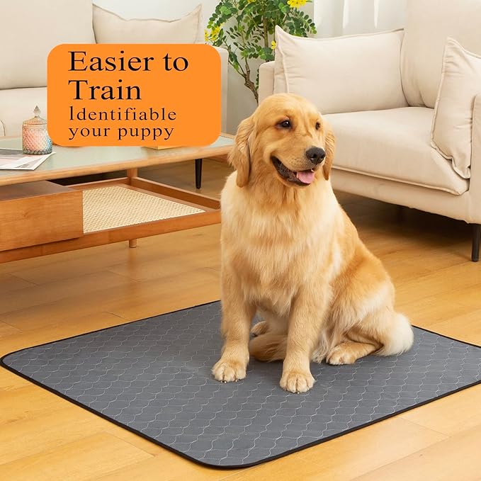 Washable Pee Pads for Dogs 48x60, 2 Pack, Extra Large Reusable Puppy Pads, Dog Training Pads with Quick Dry, Large Anti-Slip Dog Pee Pads, Whelping Pads, Potty Pad