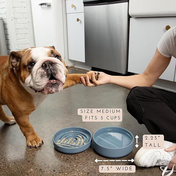 Should We Go? Dog Water Bowl - The Perfect Dish No-Spill, Less Mess Non-Tippable Water & Food Bowl, Pure Silicone with Suction Cup Fits 5 Cups 7.5" Across x 2.25" Tall Ideal for All Pets, Medium-Honey