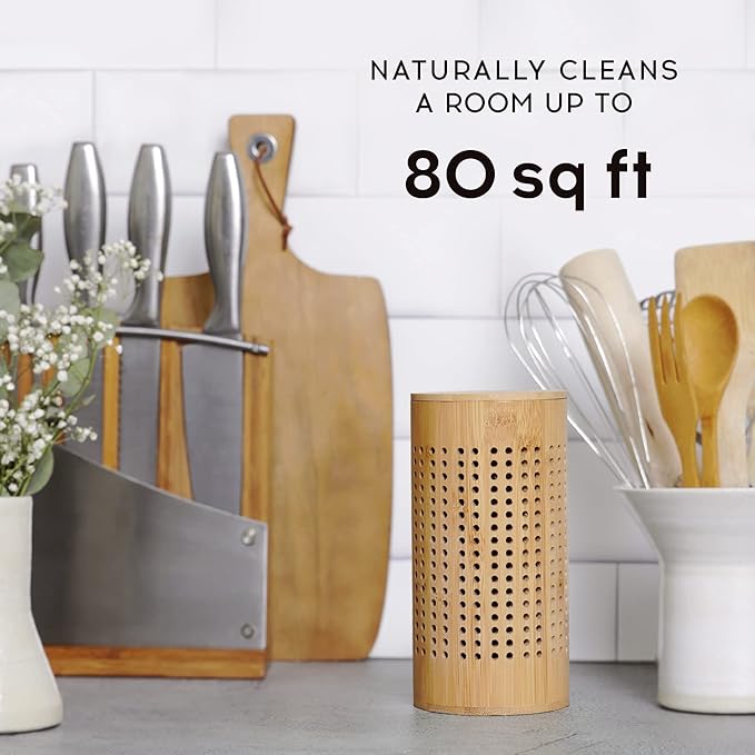 Activated Charcoal Bags - Odor Eliminator for Home - Air Purifying Bags - Bamboo Charcoal - Moisture Absorber - Closest Freshener