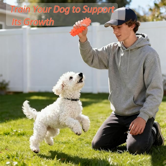 2 Pack Chew Toys for Puppies & Dogs, Dog Chew Toys to Keep Them Busy, Durable Puppy Teething Chew Toys, Tough Puppy Toothbrush Clean Teeth Interactive Toys for Small Medium Breed (Orange)