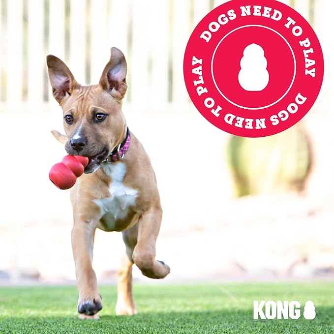 KONG Aqua Floating Fetch Toy - Dog Floating Toy for Water Retrieval, Play, Exercise & More - Natural Rubber Dog Toy with Foam Interior & Rope for Farther Throwing - Orange, for Large Dogs