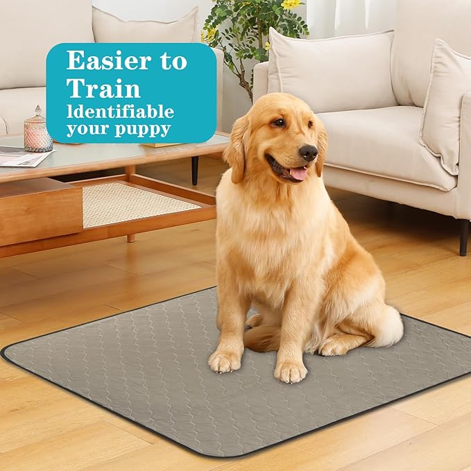 Washable Pee Pads for Dogs 24" x 36", 5 Pack, Reusable Puppy Pee Pads Washable, Dog Training Pads with Quick Dry, Large Anti-Slip Whelping Pad for Pet, Playpen, Incontinence, Housebreaking