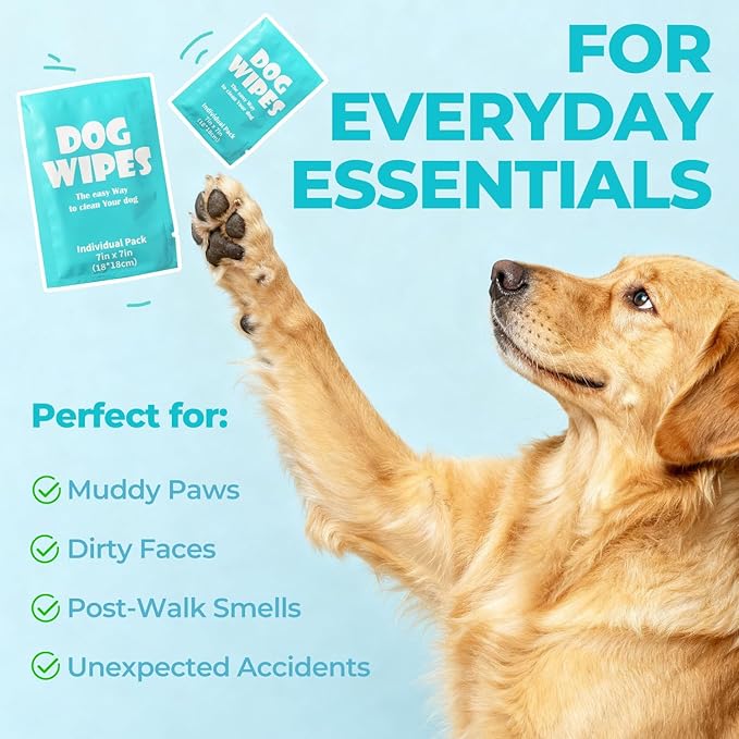 Falatong Dog Wipes, Pet Grooming Cleaning Wipes for Dogs, 7x7 Inch, 40 Count Individual Packs, Hypoallergenic Unscented for Face, Paws, Body