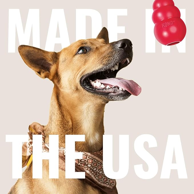 KONG Aqua Floating Fetch Toy - Dog Floating Toy for Water Retrieval, Play, Exercise & More - Natural Rubber Dog Toy with Foam Interior & Rope for Farther Throwing - Orange, for Medium Dogs