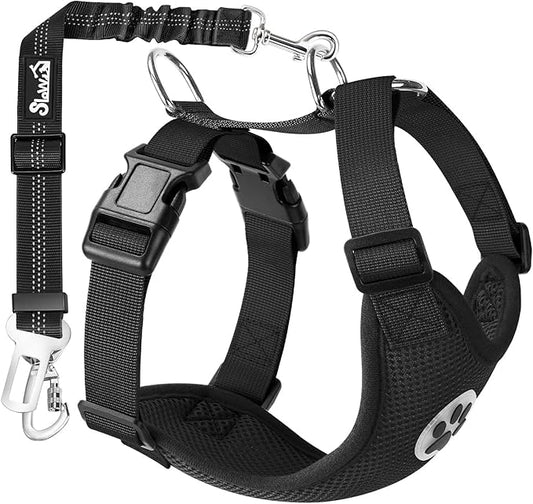 Lukovee Dog Seat Belt - Adjustable Dog Car Harness for Large, Medium & Small Dogs, Soft Padded & Breathable Mesh Dog Seatbelt with Car Vehicle Connector Strap (Black Double Clip, XX-Small)