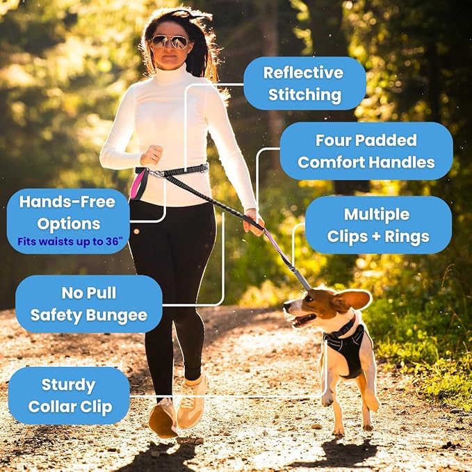 Dog Poop Bag Holder with Dispenser & Storage Pouch - Includes Adjustable Reflective Dog Leash (6FT Bungee, Padded Handles) - Durable Leash for Walking, Training & Travel (Teal)