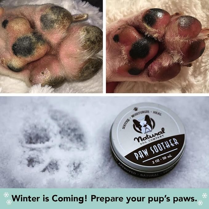 Natural Dog Company Paw Soother Balm & Wax 1 oz Tin – Restorative Paw Repair with Coconut Oil, Vitamin E & Calendula – Heals Dry, Cracked Paws, Lick-Safe, Protects from Extreme Weather
