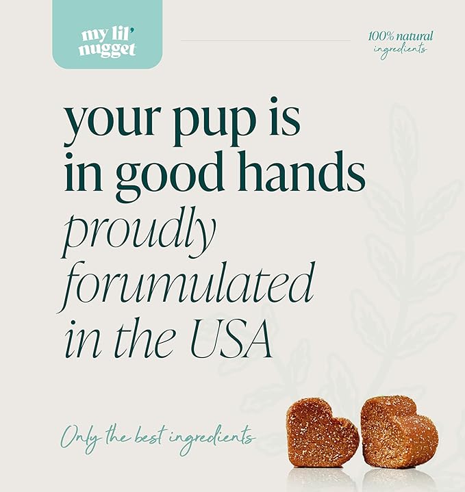 My Lil' Nugget – Vet-Approved Calming Chews for Dogs | All-Natural Calm Treat for Noise, Travel & Home Alone | Hemp, Chamomile & Melatonin | All-Ages - Senior Dog to Puppy | 90 Beef‑Flavor Soft Chews