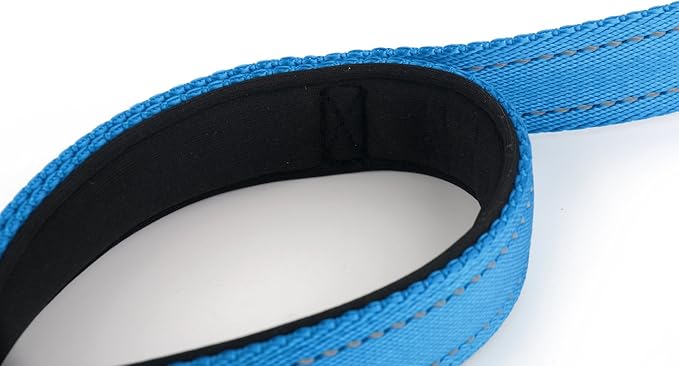 Primal Pet Gear Dog Leash 6ft Long,Traffic Padded Two Handle,Heavy Duty,Reflective Double Handles Lead for Control Safety Training,Leashes for Large Dogs or Medium Dogs,Dual Handles Leads(Blue)